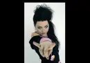amy lee