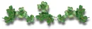 clover line