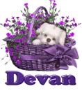Devan