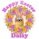 Happy Easter Daisy