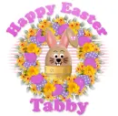 Happy Easter Tabby