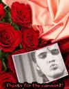 Elvis Presley-Thanks for the comment!