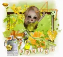 Spring... Amy