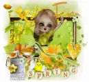 Spring... Fran