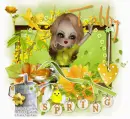 Spring... Tabby