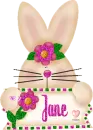 Jane
