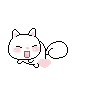 kitty