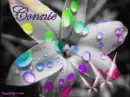 CONNIE