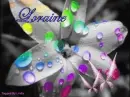 LORAINE