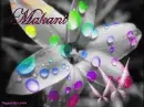 MAKANI