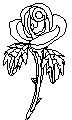 rose comes to life