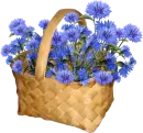 flowers in love