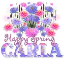 Happy Spring Floral Carla