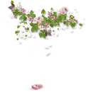 flowers in love