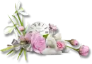 flowers and birds