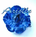 Arielle
