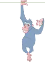 monkeying around