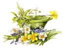 flowers in love