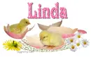 Chicks in pink shell- Linda