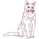 gatto