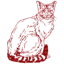 gatto