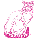 gatto