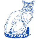 gatto