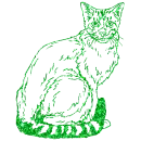 gatto