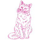 gatto