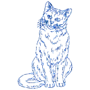 gatto