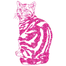 gatto