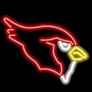 Cardinal Coolneass