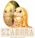 Siabhra
