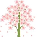 sakura tree