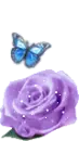 violet flower
