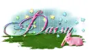Daisy-Pink Spring