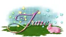 Jane-Pink Spring
