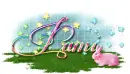 Pami-Pink Spring
