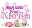 Pink Easter- Kenia