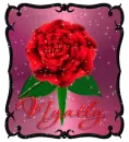 Nyalty