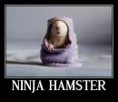 Ninja Hamster