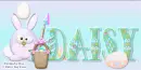 Daisy