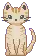 A Cat 2