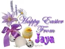 Chick with purple flowers-Jaya