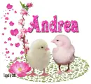 Sweet Bear with eggs- Andrea