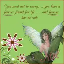 Mel - Forever Friend 