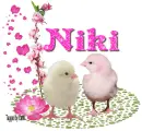 Two Chicks- Niki
