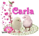 Two Chicks- Carla