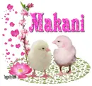 Two chicks- Makani
