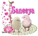 Two Chicks- Saneeya